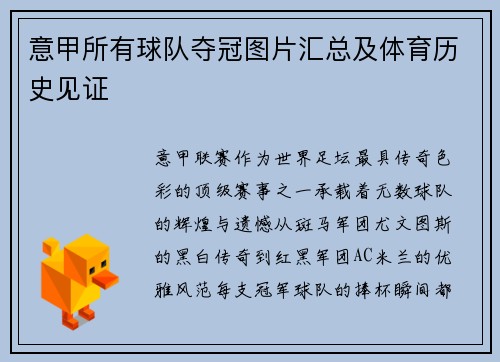 意甲所有球队夺冠图片汇总及体育历史见证